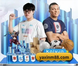 持续创新